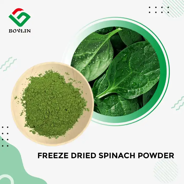 Freeze Dried Spinach Powder